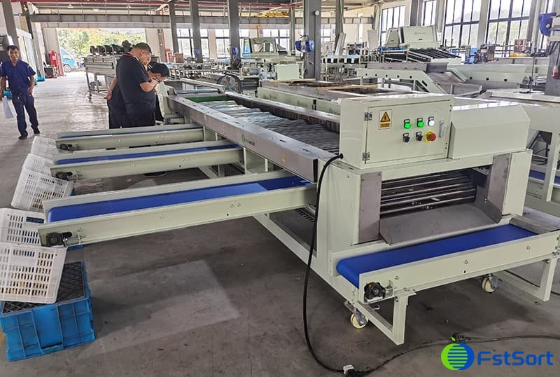 images/1690272418350jujubes grading machine.jpg